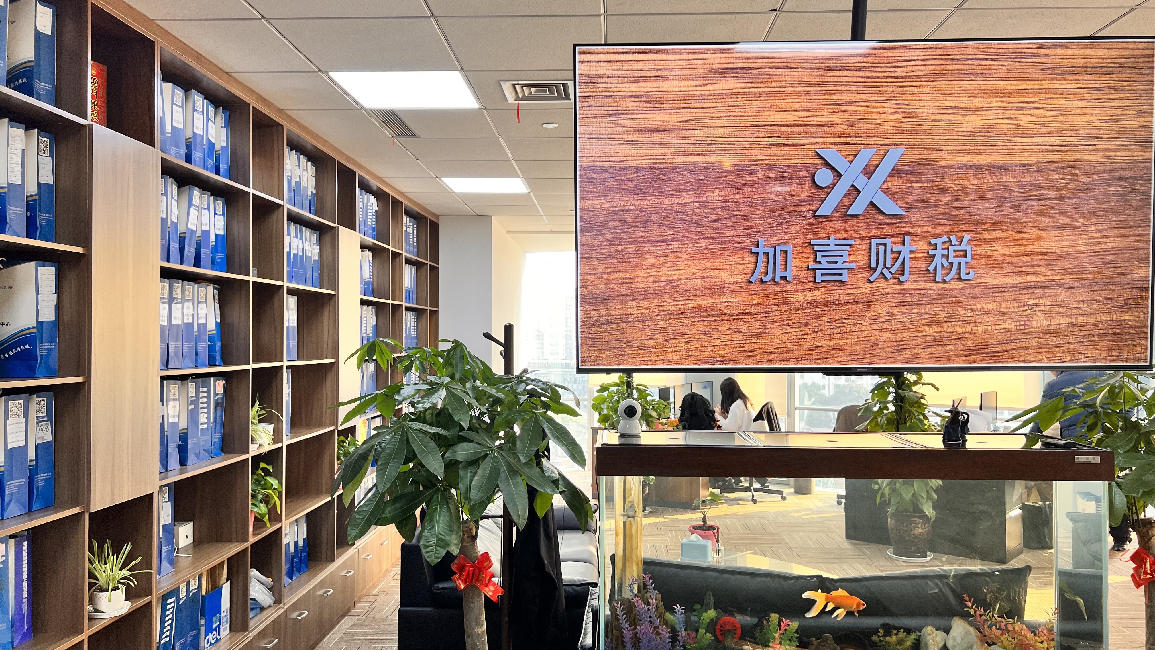 专业代理记账服务